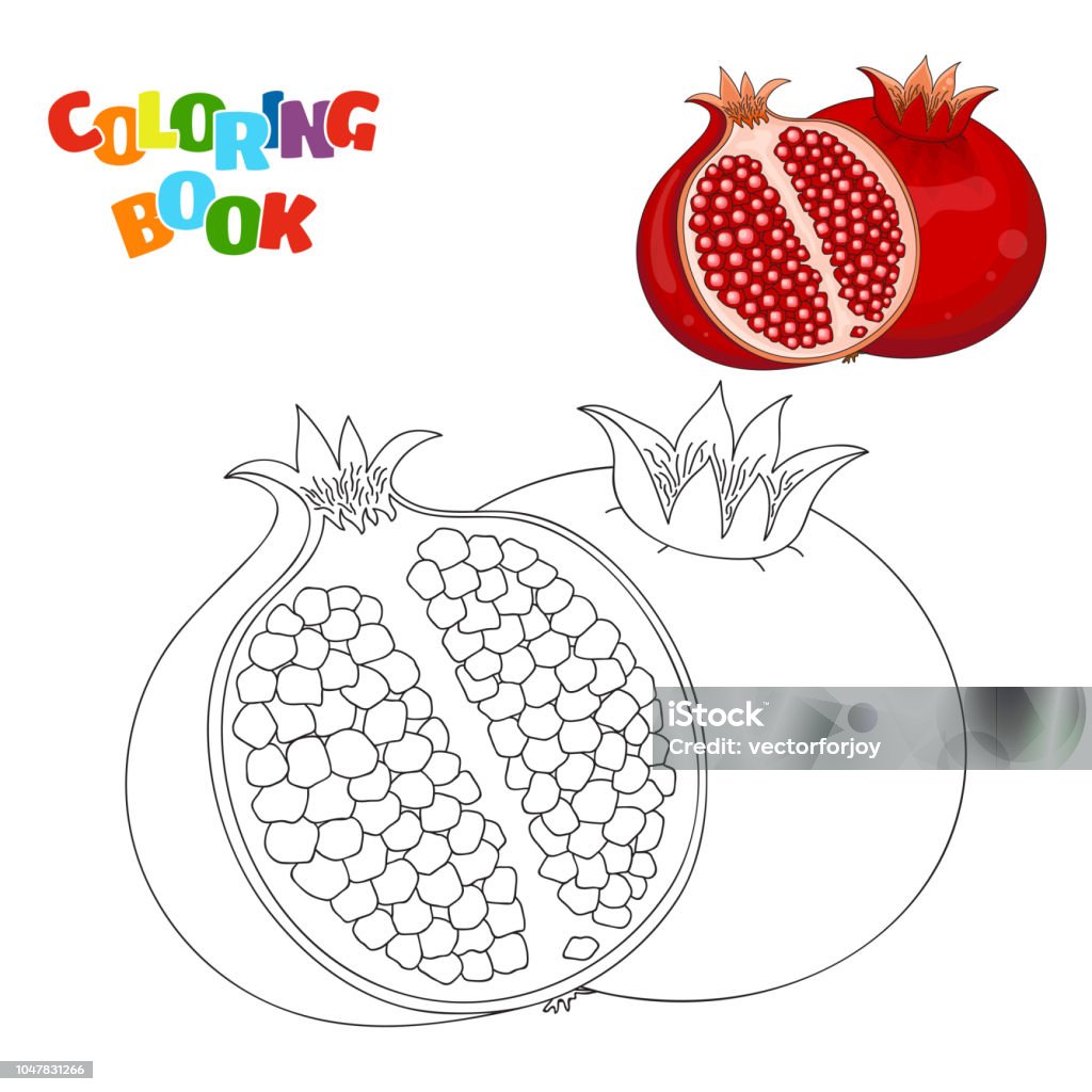Coloring book page for preschool children with outlines of pomegranate and a colorful copy of it. Vector illustration of pomegranate for kids education. Pomegranate stock vector