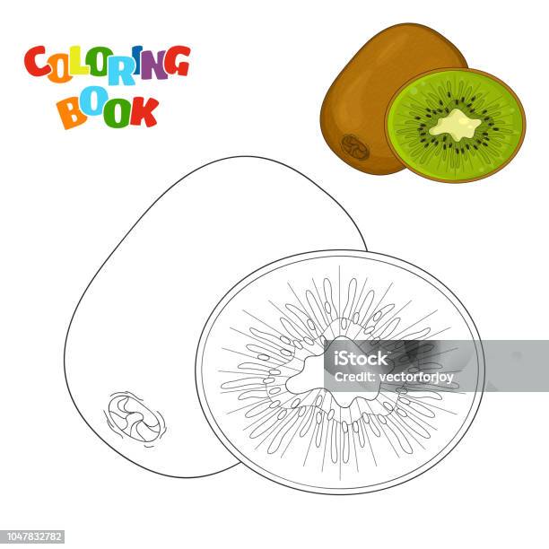 Coloring Book Page For Preschool Children With Outlines Of Kiwi And A Colorful Copy Of It Vector Illustration Of Kiwi Fruit For Kids Education Stock Illustration - Download Image Now