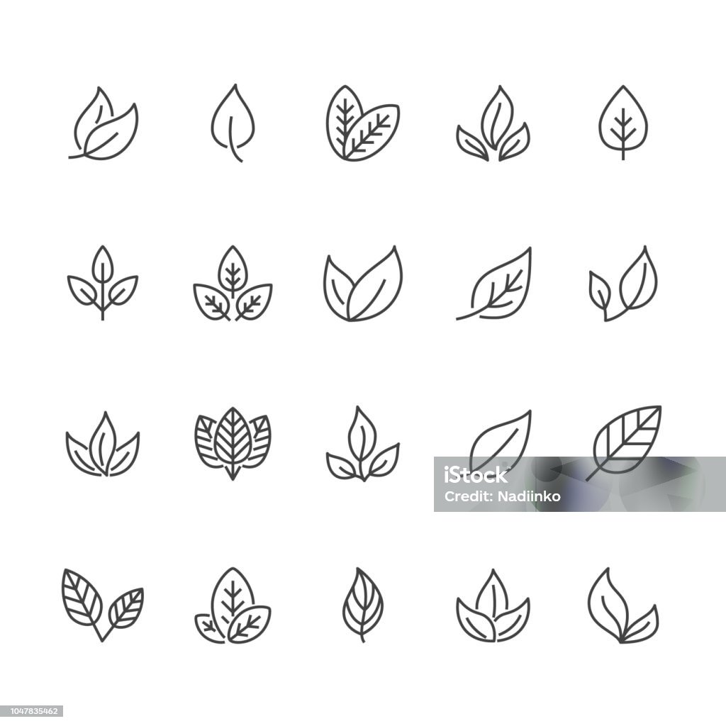 Leaf flat line icons. Plant, tree leaves illustrations. Thin signs of organic food, natural material, bio ingredient, eco concept. Pixel perfect 64x64. Editable Strokes Leaf flat line icons. Plant, tree leaves illustrations. Thin signs of organic food, natural material, bio ingredient, eco concept. Pixel perfect 64x64. Editable Strokes. Leaf stock vector