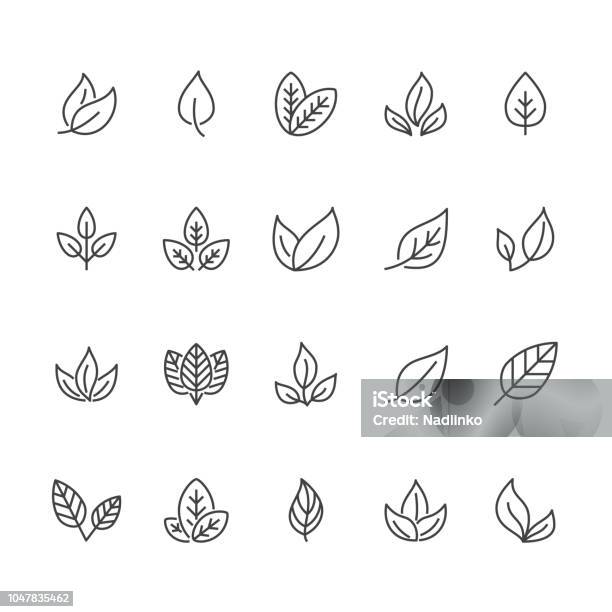 Leaf Flat Line Icons Plant Tree Leaves Illustrations Thin Signs Of Organic Food Natural Material Bio Ingredient Eco Concept Pixel Perfect 64x64 Editable Strokes Stock Illustration - Download Image Now