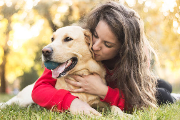 junge lächelnde frau mit ihrem niedlichen hund - golden retriever dog autumn leaf stock-fotos und bilder