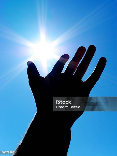 Sun On Palm Stock Photo - Download Image Now - Star Shape, Adult, Adults Only