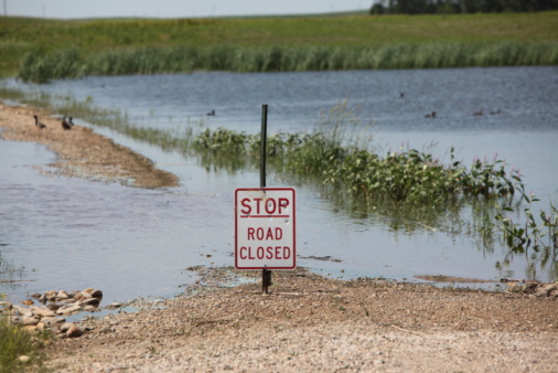 Flooded Road With Road Closed Sign and Ducks in Background