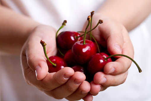 Close-up crop of red ripe cherries in hands of woman, summer sunny garden, harvesting, farming, gardening, healthy natural vitamin organic eco berries, food nutrition, farmers market