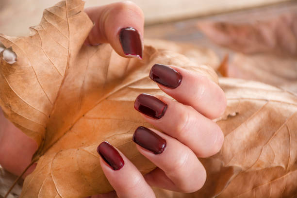 istock Girl with brown manicure on finger holds dry fall leaf in hand 1047848720