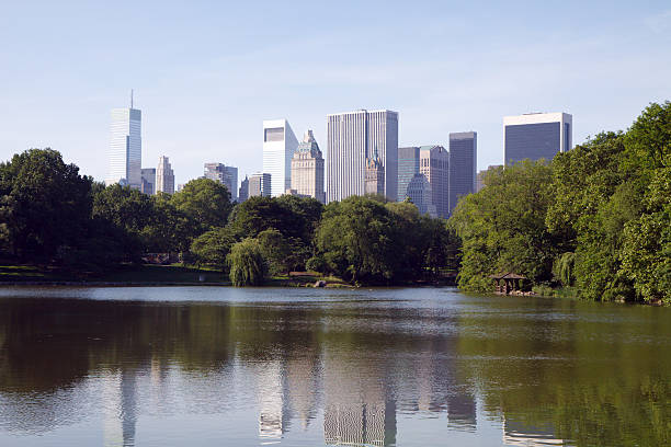 Central Park and New York City Skyline