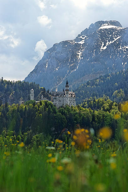 château de neuschwanstein, en allemagne - neuschwanstein photos et images de collection