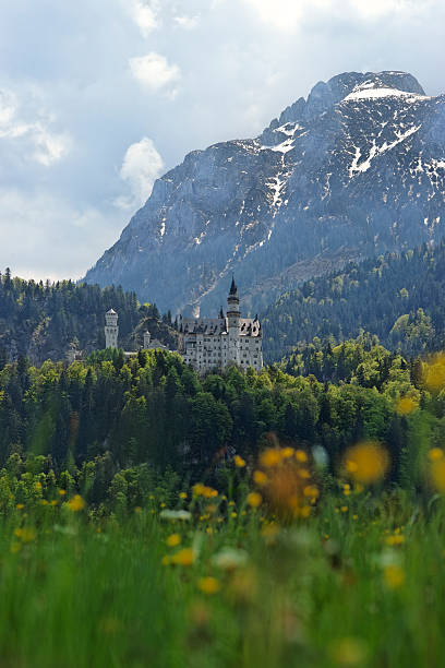 zamek neuschwanstein, niemcy - neuschwanstein zdjęcia i obrazy z banku zdjęć