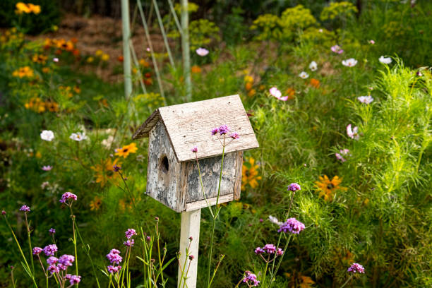 Birdhouse in Flower Garden