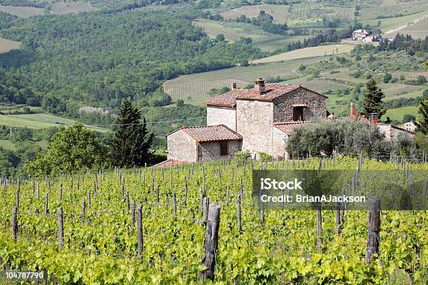 Foto de Toscana Vinhedo e mais fotos de stock de Agricultura - Agricultura, Beleza natural - Natureza, Cabana - Casa