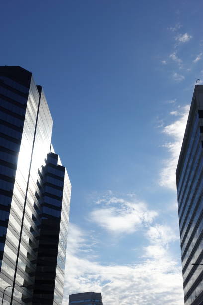 istock Skyscrapers with Vertical Line Exteriors 1047880012