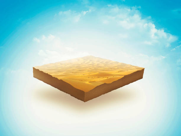 soil slice, 3d illustration, palm, desert, isolated