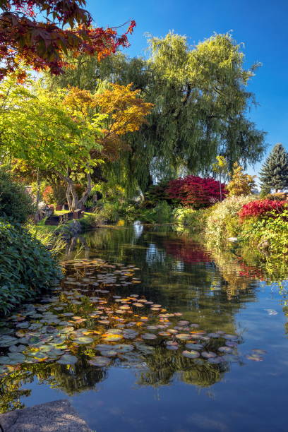 istock Beautiful autumn day in the park 1047901824