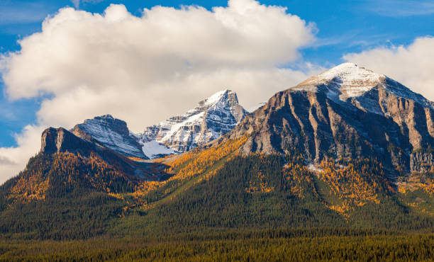 istock Mount Temple in fall with yellow larches in Banff National Park, Alberta 1047902020