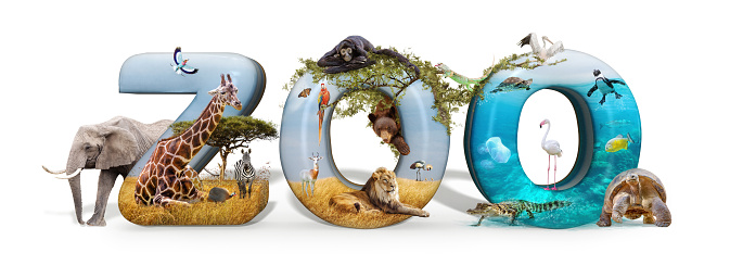 Zoo word in 3D with African nature wildlife animals and aquarium conceptual scene