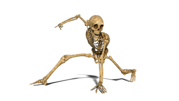 istock Funny skeleton break dancing on the floor, human skeleton exercising on white background, 3D render 1047914174