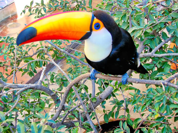 Santa Cruz, Biocentro Gumbe (Bio Center Guembe)