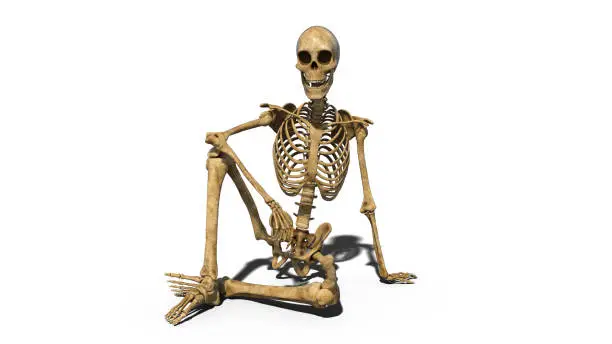 Photo of Funny skeleton sitting on ground and smiling, human skeleton isolated on white background, 3D render