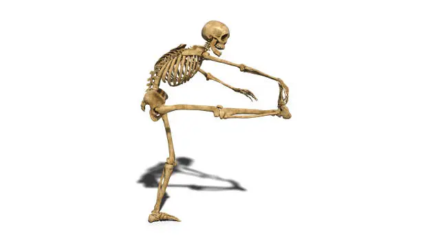 Photo of Funny skeleton stretching leg, human skeleton exercising on white background, 3D render