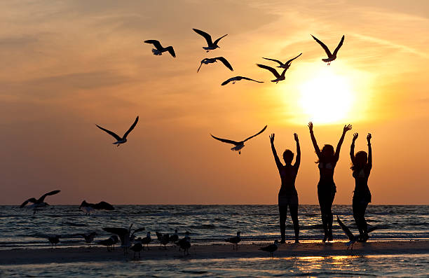 istock Three Young Women Dancing On Beach At Sunset 104791610