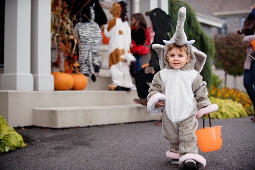 Six cute kids in animal costumes dressed up for Halloween sitting behind the witch's house decorated for Halloween. The little boy with Down syndrome is sitting on the witch. There is a zebra, a monkey, a horse, an elephant, a bear and a bee. Photo was taken in Quebec Canada.