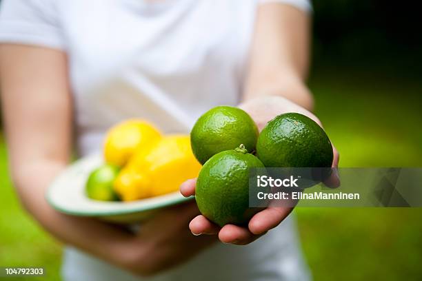 Lemon And Lime On A Plate Stock Photo - Download Image Now - Citrus Fruit, Close-up, Color Image