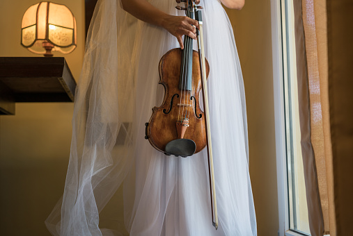 Dress, Musical Instrument, Violin, Brazil, Music