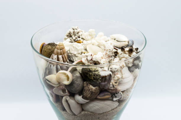 Glass filled with seashells, corals and beach sand in white background