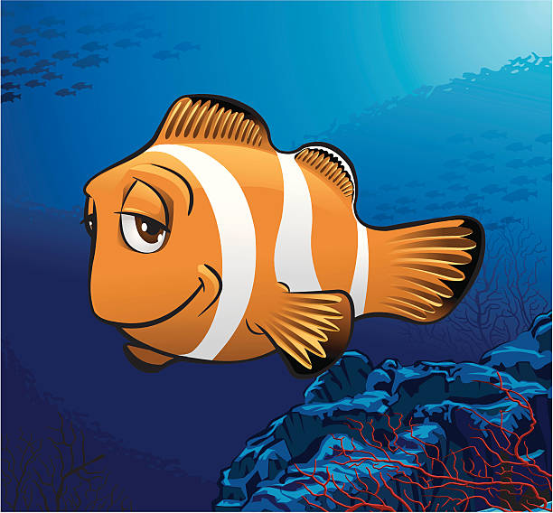 Clownfish Clownfish with environment. dybbuk stock illustrations