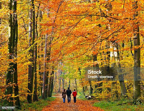 Walking In Autumn Park Stock Photo - Download Image Now - Autumn, Family, Walking