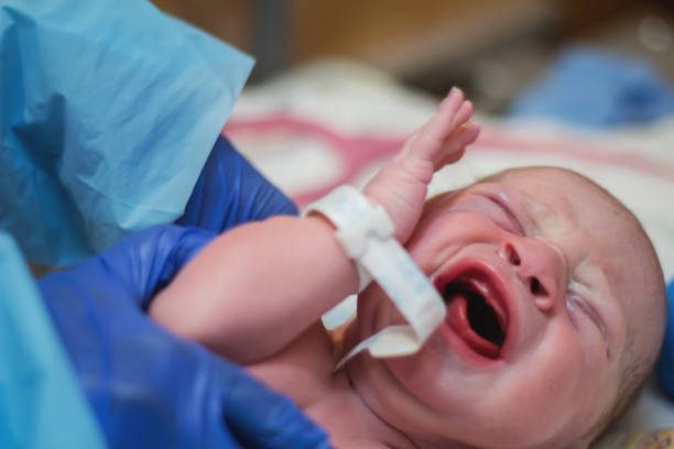 Brand new infant baby boy is screaming while being examined by a nurse, just moments after he is born. Baby is wearing a hospital bracelet, and unrecognizable nurse is wearing latex gloves.