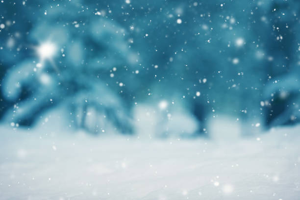 istock Beautiful tree in winter landscape in late evening 1047989576