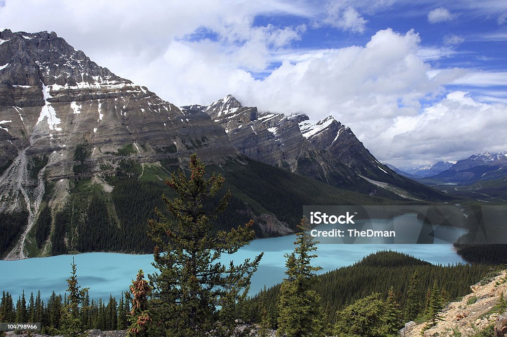 Lago Peyto-Montanhas Rochosas Canadianas - Royalty-free Alberta Foto de stock