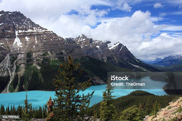 Foto de Peyto Lakecanadian Rockies e mais fotos de stock de Alberta - Alberta, Azul, Azul Turquesa