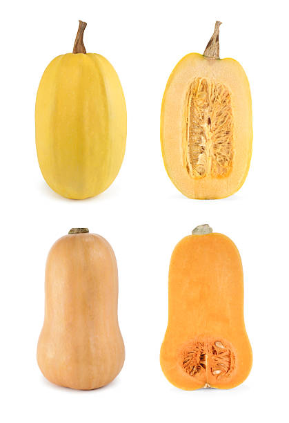 istock Four shots of butternut and spaghetti squashes 104800064