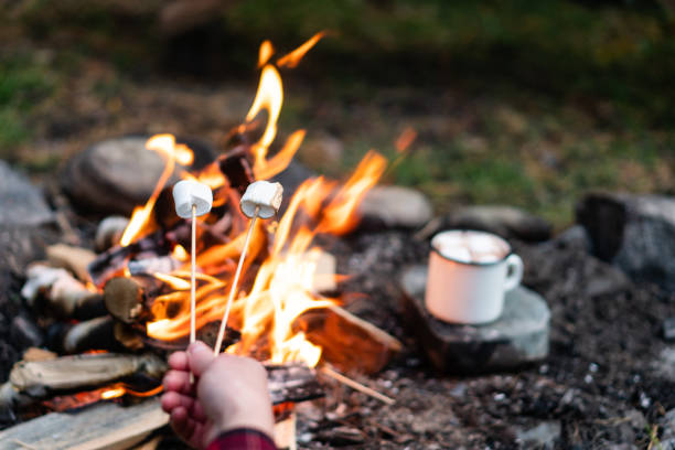 istock Roasting marshmallows over a bonfire in the forest. 1048001878