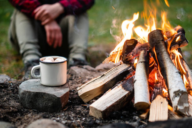 istock Roasting marshmallows over a bonfire in the forest. 1048004616
