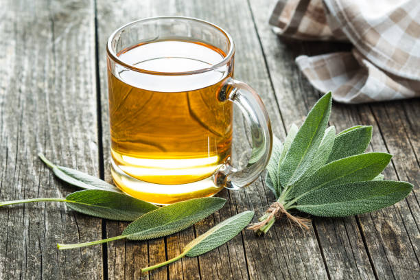 セージのお茶とセージの葉。 - tea cup tea cup herbal medicine ストックフォトと画像