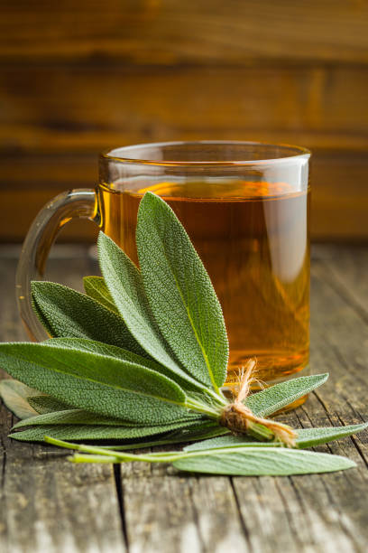 istock Sage tea and sage leaves. 1048005670