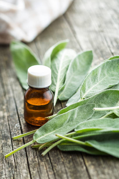 istock Bottle of essential sage oil 1048009334