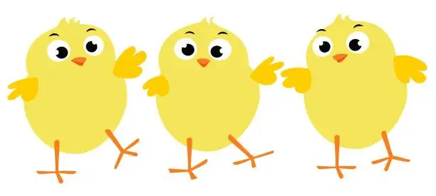 Vector illustration of Three vector illustrations of Easter chicks