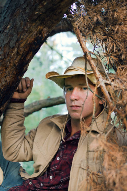 istock cowboy in the branches of an old yellowed pine 1048013254