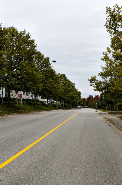 istock Autumn colors in a suburban area 1048013914