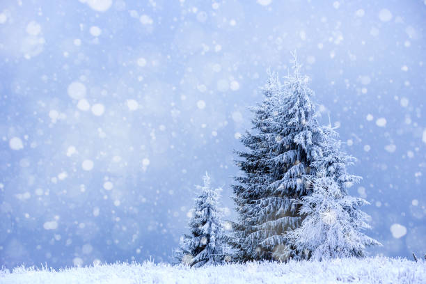 istock Snowfall in the winter mountains 1048022776