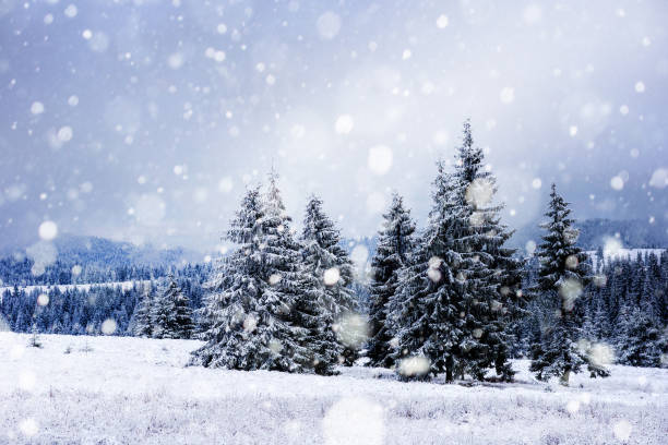 istock Snowfall in the winter mountains 1048022782