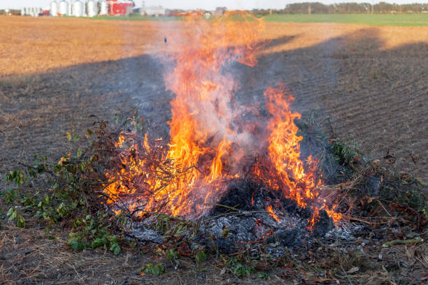 istock Farmer burns green wastes in bonfire 1048035672