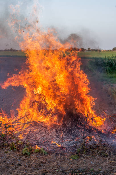 istock Farmer burns green wastes in bonfire 1048036514