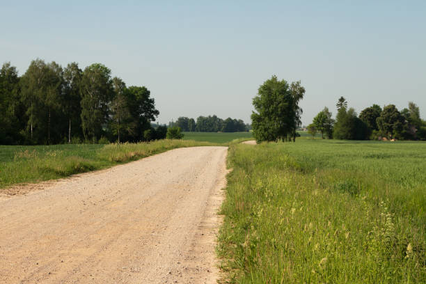 istock View to the country road. 1048036648