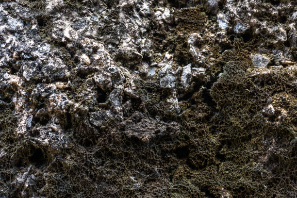 istock Close up Macro view Stone Brick Wall with moss texture background. 1048036776