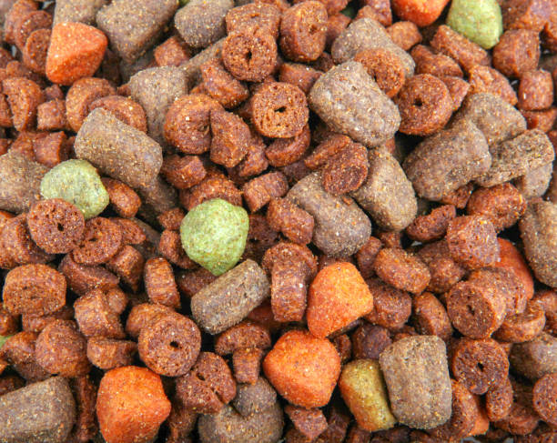 istock dog food 1048045610